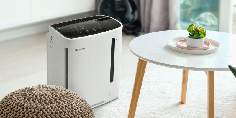 White Revive air purifier filter in the living room